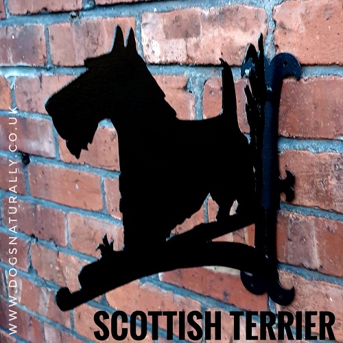 Scottish Terrier Wall Bracket